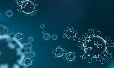 El estudio del coronavirus da una advertencia ominosa sobre la estrategia de EE. UU. Y el Reino Unido