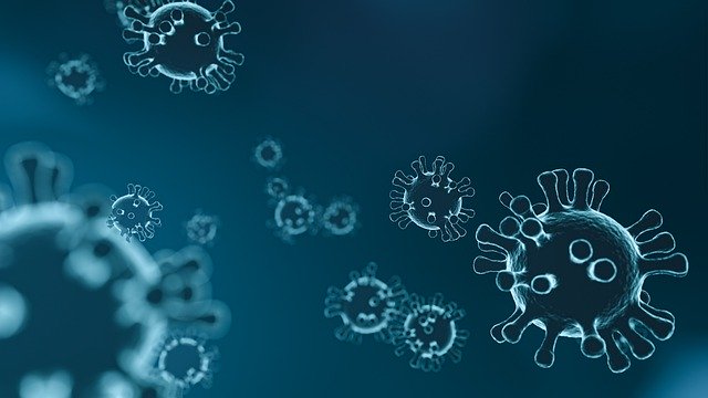 El estudio del coronavirus da una advertencia ominosa sobre la estrategia de EE. UU. Y el Reino Unido