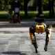 El perro robot de Boston Dynamics patrulla las calles de Singapur para recordar a las personas la distancia social