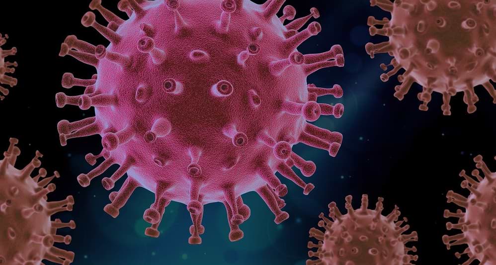 Los investigadores han desarrollado anticuerpos que están demostrando ser efectivos contra el coronavirus