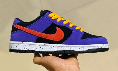 ACG Terra Inspired Nike SB Dunk Low First Look Release Info