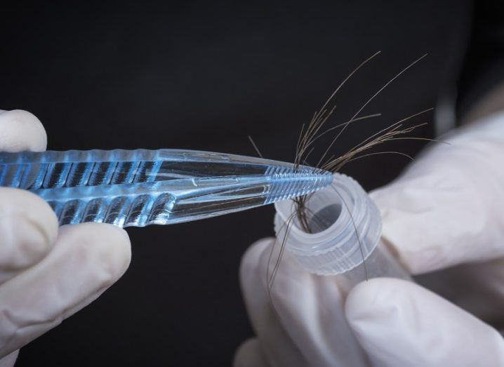 Gloved hands holding a hair sample in a set of tweezers and placing it into a test tube.