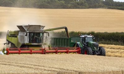 A combine harvester working in a field of wheat beside a tractor.