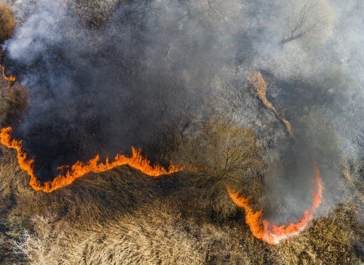 Aerial view of a wildfire in a dry, grassy region.