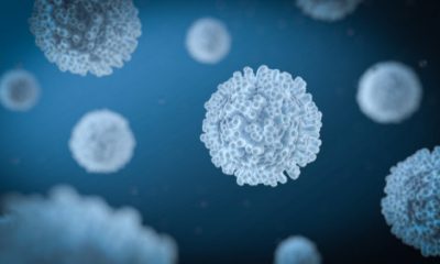 Un estudio en inglés sugiere que las células T podrían ser suficientes para protegerse del COVID-19