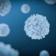 Un estudio en inglés sugiere que las células T podrían ser suficientes para protegerse del COVID-19