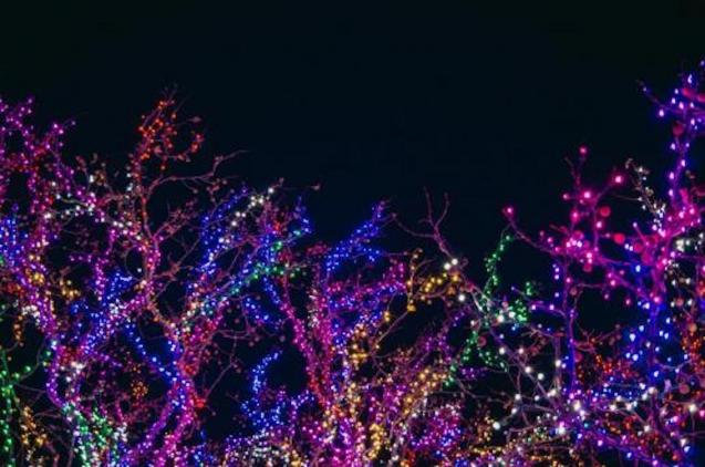 Christmas lights in Palma.