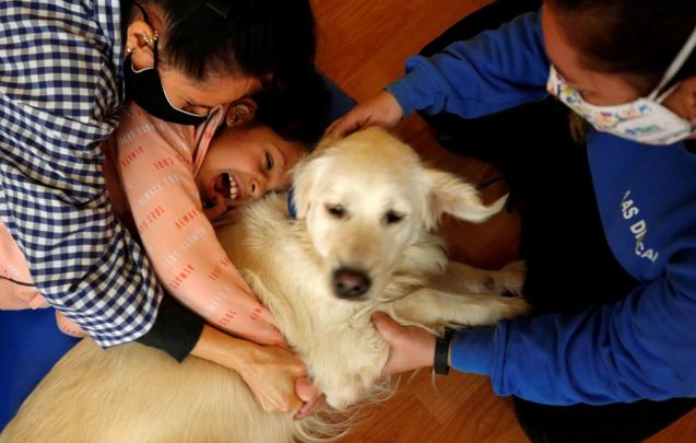 Dog-assisted therapy session at Escola Iris in Sant Vicenc dels Horts