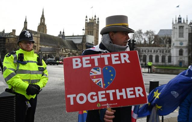 Pro EU campaigners demonstrate outside parliament in London
