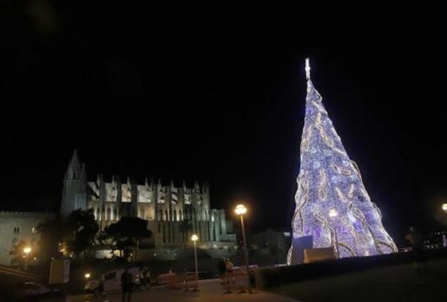 Palma Cathedral and Christmas tree.