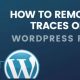 Cómo eliminar todos los rastros de un complemento de WordPress