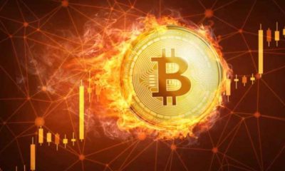 250 mil millones desaparecieron del mercado de criptomonedas cuando bitcoin perdió el 25% de su valor; se bloquea de cerca de $ 42,000 a $ 32,576 en solo 24 horas