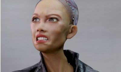 FOTO Robot humanoide será producido en masa