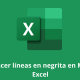 Cómo hacer líneas en negrita en Microsoft Excel