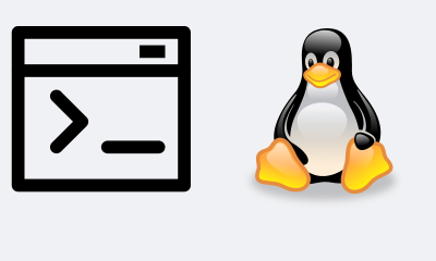 Aprende los comandos de Linux para principiantes para avanzar.
