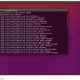 Cosas que hacer después de instalar Ubuntu 16.04 LTS XENIAL XERUS