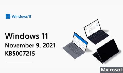 Microsoft lanza la actualización acumulativa de noviembre de 2021 para Windows 11